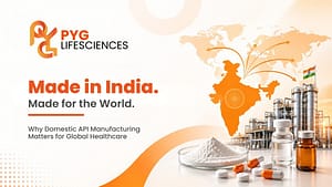 Domestic API manufacturing facility in India
