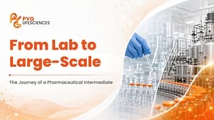 Pharmaceutical intermediate scale-up process