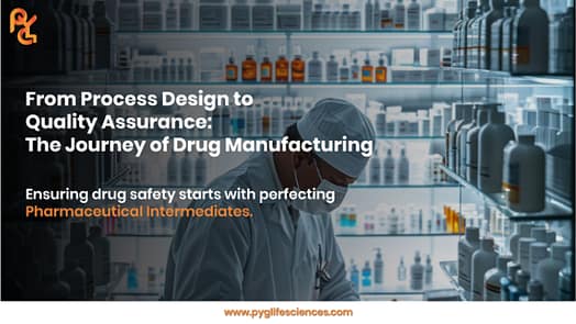 Pharmaceutical Intermediates: Ensuring Quality & Reliability in Drug ...